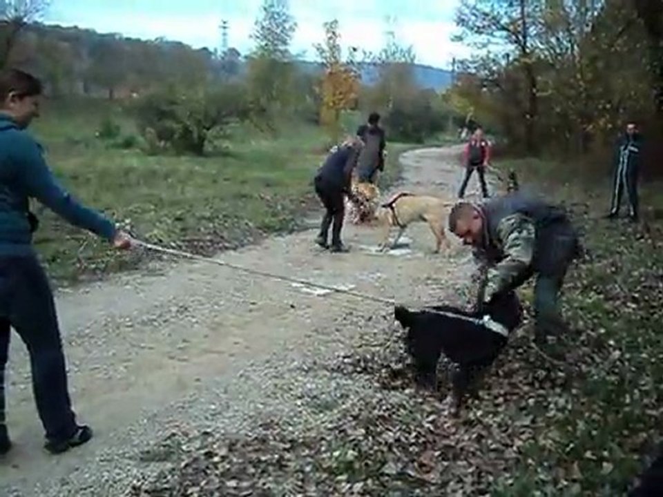 stage colombier saugnieu 29 et 30 octobre 2011 003