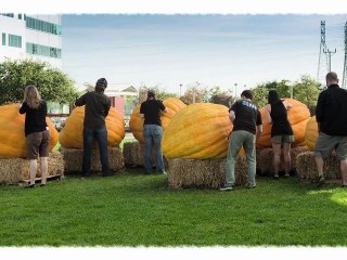 Google Halloween Doodle 2011