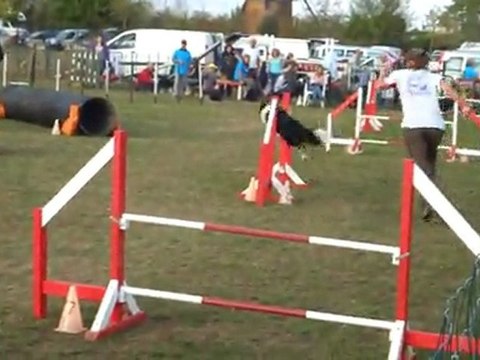 Elis Jumping TVA 301011