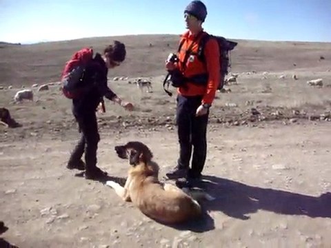 Serhan ALTINOK Doğa yürüyüşü