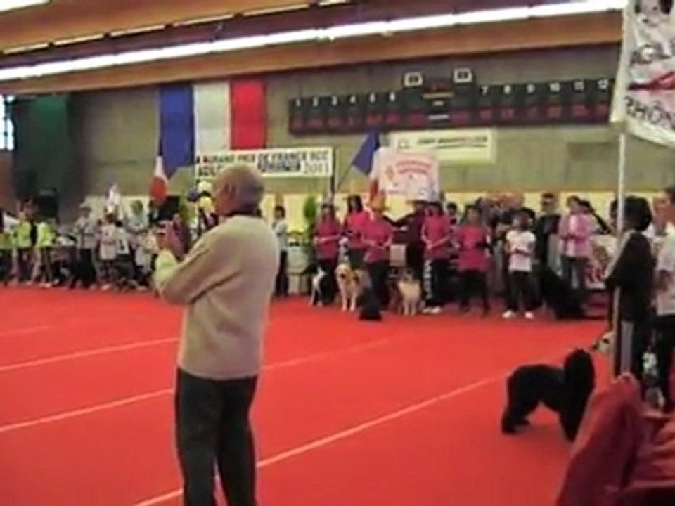 DEFILE SUITE CHAMPIONNAT FRANCE JUNIR AGILITY
