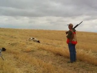 PRADA ,LİNDA VE CEF BILDRICIN FERMASI