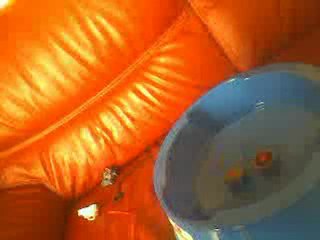 rock virgo vs earth eagle