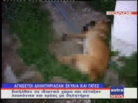 ΔΕΛΤΙΟ ΕΙΔΗΣΕΩΝ 29/10/2011