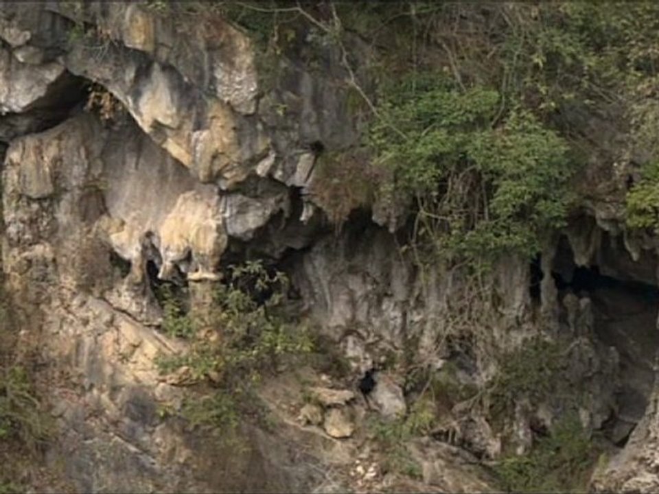 Docu_France5_Chine sauvage - Le coeur du dragon_Sam 18 déc 2010