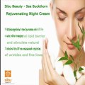 Sea Buckthorn Rejuvenating Night Cream for perfect skin rejuvenation