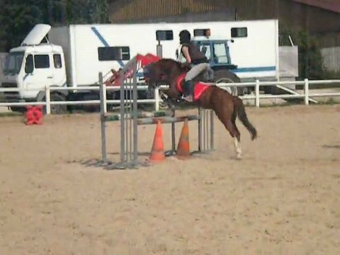 Mon galop 4 avec Loulou ♥