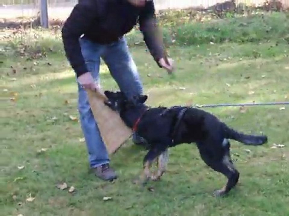 GUCCI le 30 10 2011 041