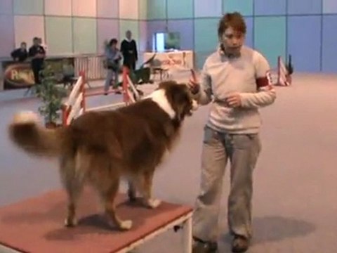 Cirius Open + Vaux 30 10 2011