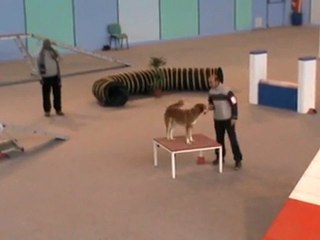 Cayenne Open Vaux 30 10 2011