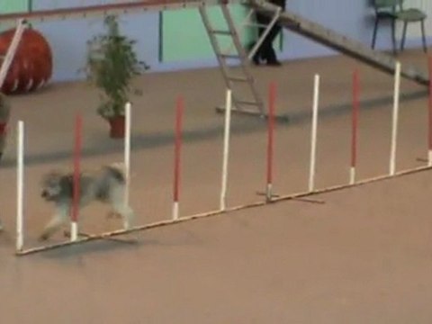 Email 1er degré Vaux 30 10 201