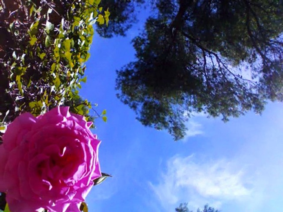 TE ESTOY AMANDO LOCAMENTE - LADY HAGUA
