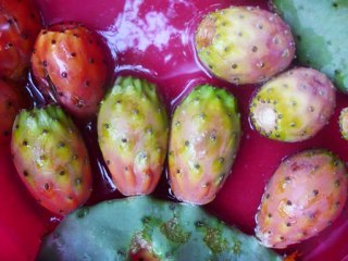 IL EST TROP TARD MADAME - LADY HAGUA