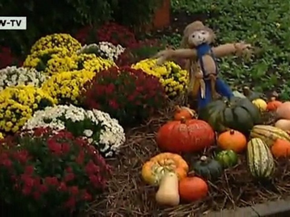 Kiel – Three Travel Tips | Discover Germany