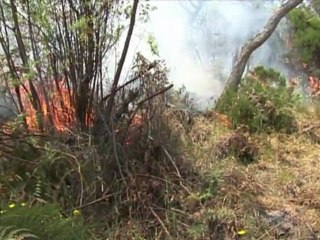 Incendies: nouveaux renforts attendus mardi à La Réunion