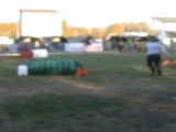 agility Isle sur la sorgues 2011