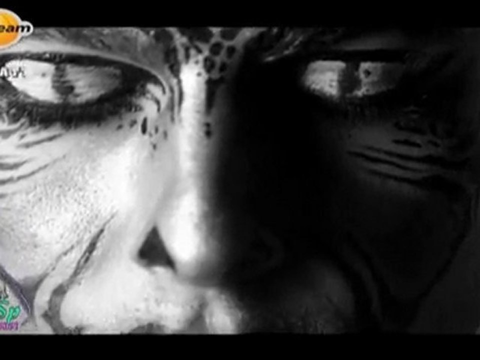 Ayşe Saran - Kaybedecek Bir Şey Yok (HQ Klip)