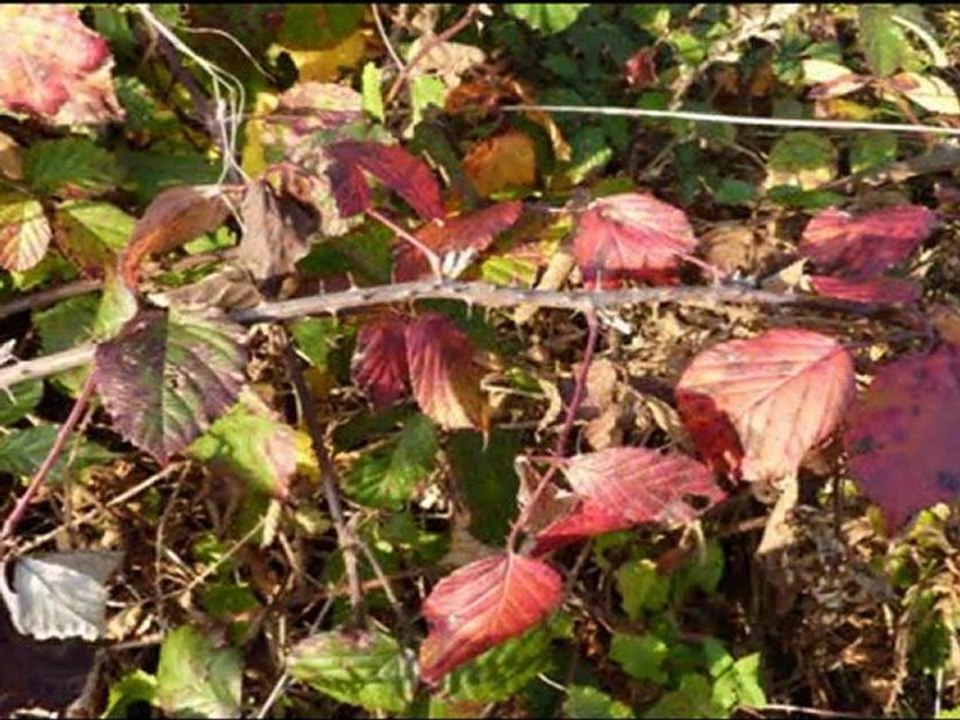 Vers le col de Lauwy