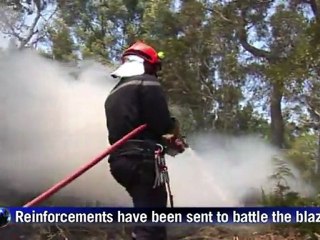 Wildfire threatens Reunion Island national park