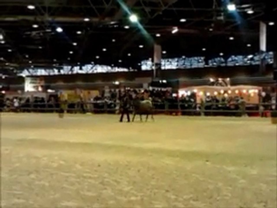 Concours Chevaux de couleur : Anais et Lana Equita 2011