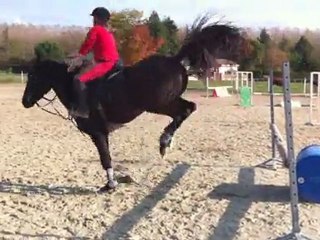 IMG_1128tango saut octobre 2011