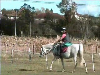 Douchka 30 octobre 2011