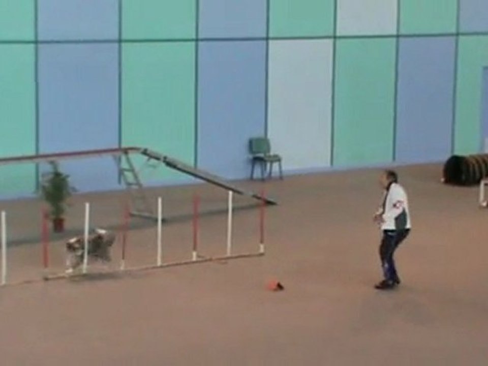 Danse  2è degré Vaux 30 10 201