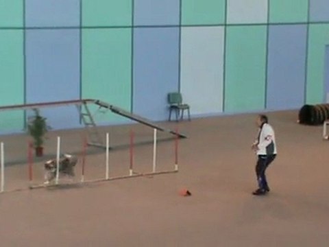 Danse 2è degré Vaux 30 10 201