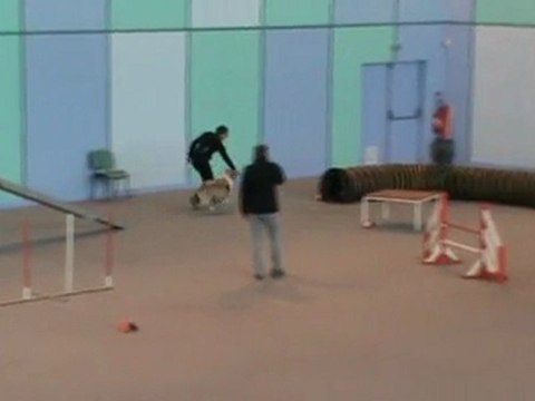 Tweed 2è degré Vaux 30 10 201