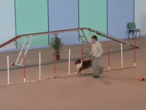 Cirius 2è degré Vaux 30 10 20