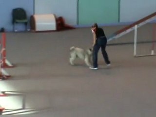 Choco GPF Vaux 30 10 2011