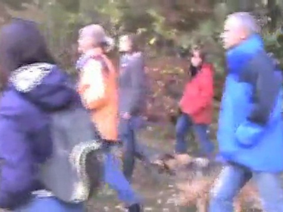 Promenade Chien libre