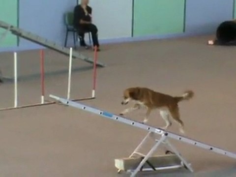 Cayenne GPF Vaux 30 10 2011