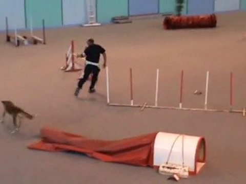 Cayenne Jumping Vaux 30 10 201