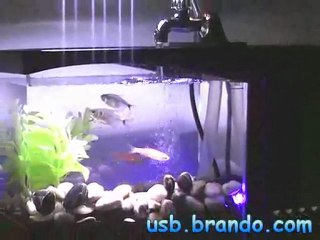 Alarm Saatli Ve Termometreli Usb Masaüstü Akvaryumu