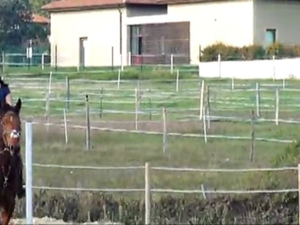 tkt saut octobre 2011