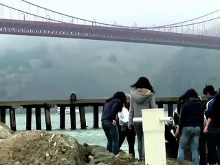 Mediamobz Annual Report 2009