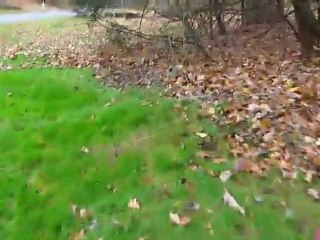 landscaping services Oregon