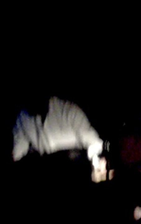 Bogotazonoridad. Live at Bogota. extract 1.2007