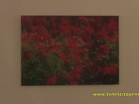 L''Antichambre une galerie d'art contemporain à découvrir