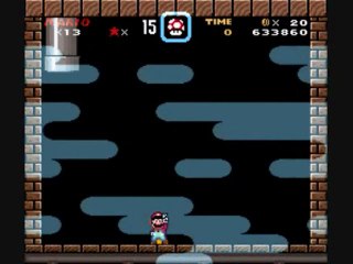 [WT] Brutal Mario [14]