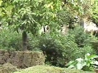 Palacios y Jardines Reyes Catolicos