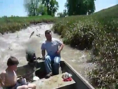 Жесток напад од риби на моторна лотка