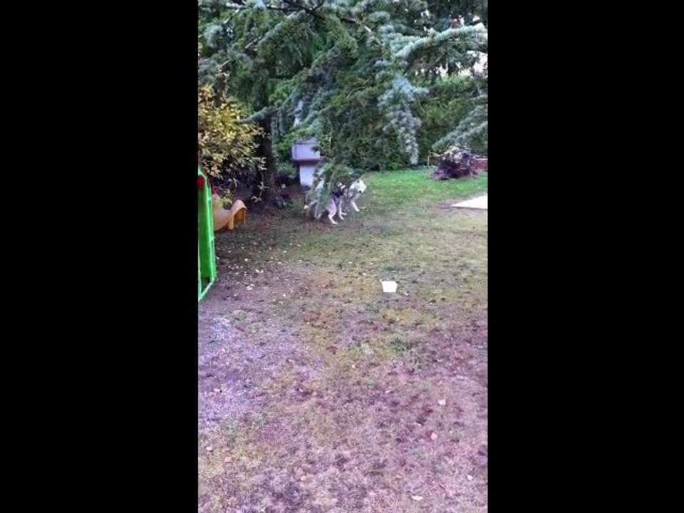 RETROUVAILLES EN VIDEO