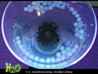 H2O # 12 - LA GASTRONOMIE MOLECULAIRE