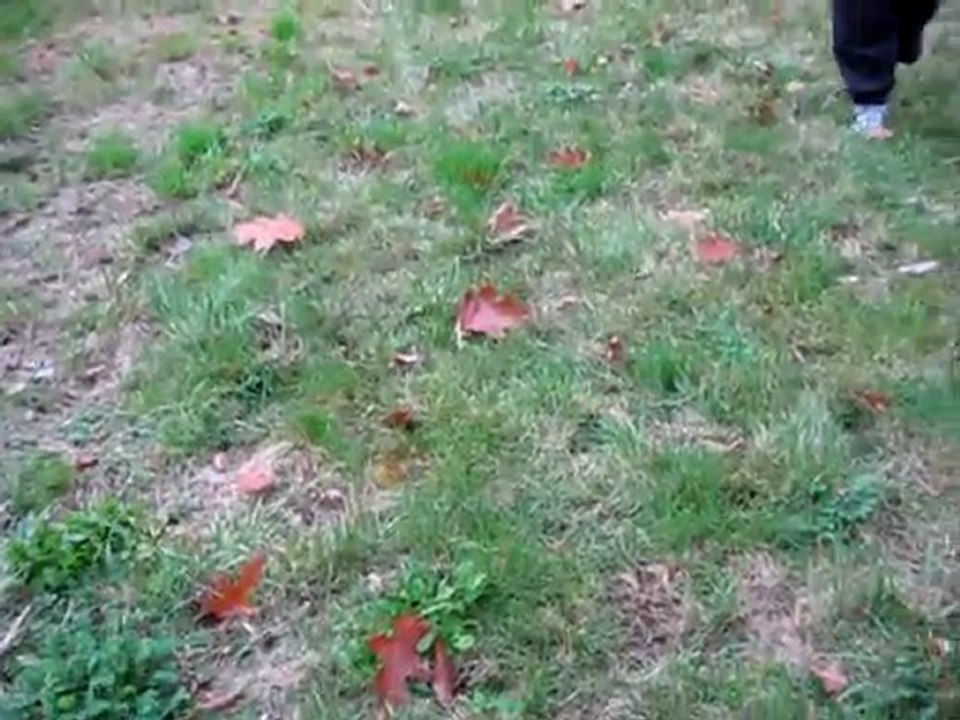 BB yadé 30 oct 11 PM