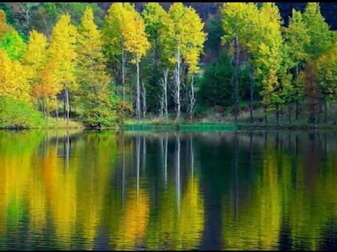 MUSA EROĞLU - NEM KALDI