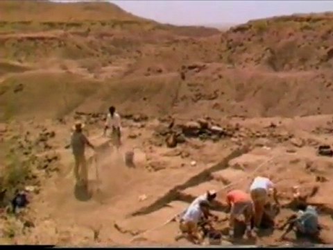 5-минут Истины Часть 6 Крах Эволюции