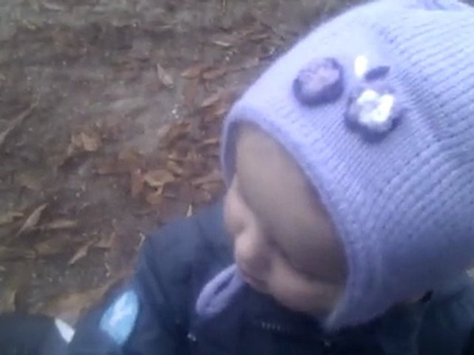 VIDEO0020