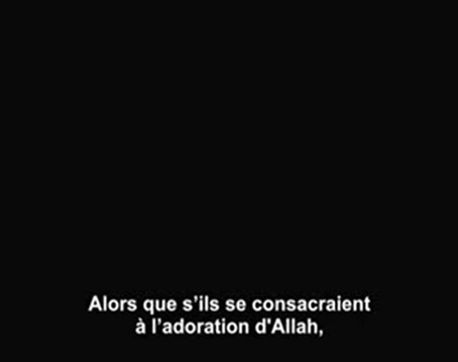 Sheikh Ibn Al 'Outheymine et Al Albany sur la politique